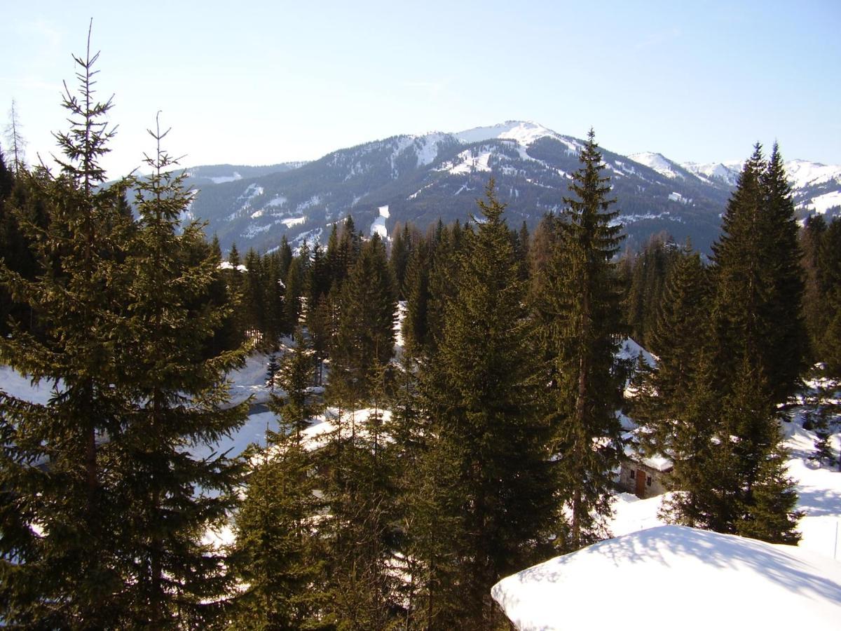 Appartementhaus Hochkoenig 1- Birgkar Mühlbach am Hochkönig Exteriör bild