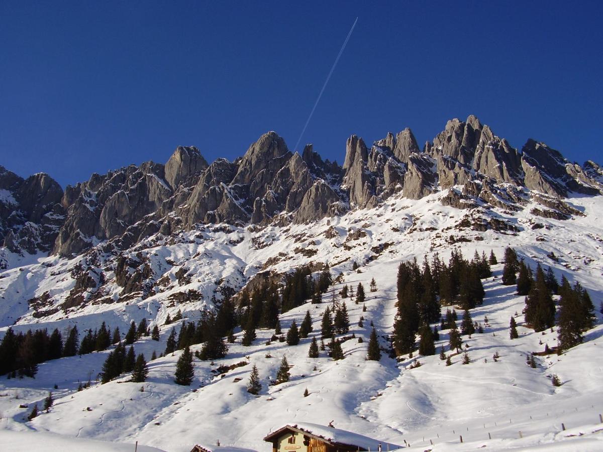 Appartementhaus Hochkoenig 1- Birgkar Mühlbach am Hochkönig Exteriör bild